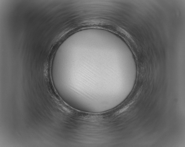 X0000073980778200609111807