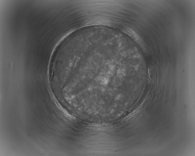 X0000073980780200609111807