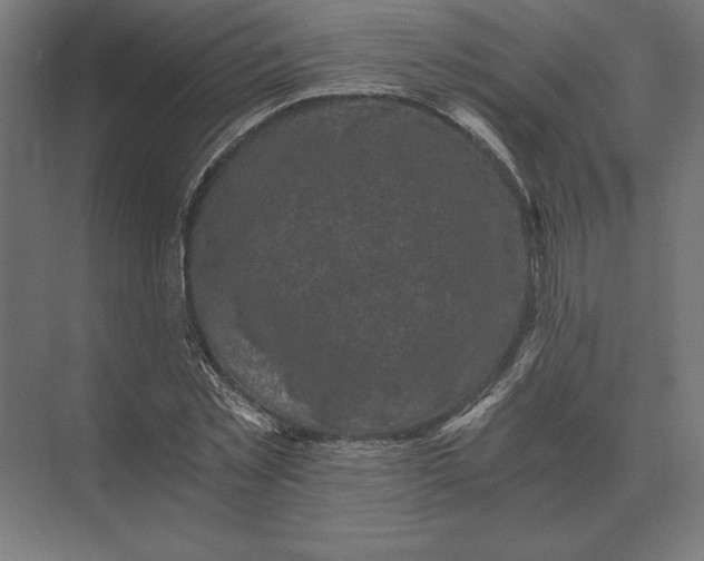 X0000073980781200609111807