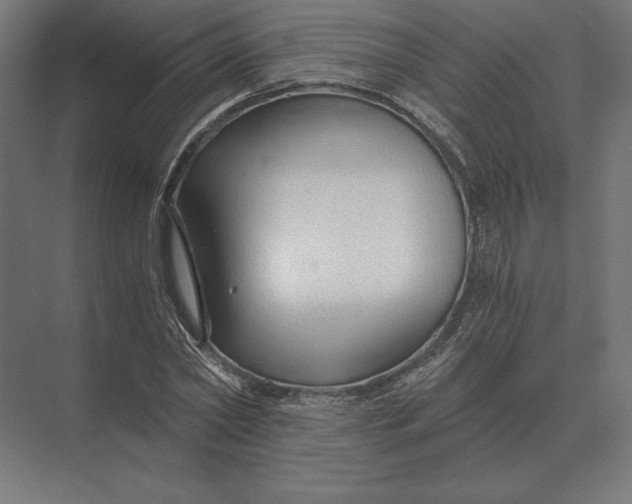 X0000073980782200609111807