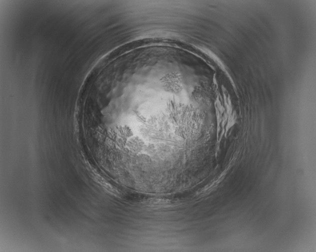 X0000073980783200609111807