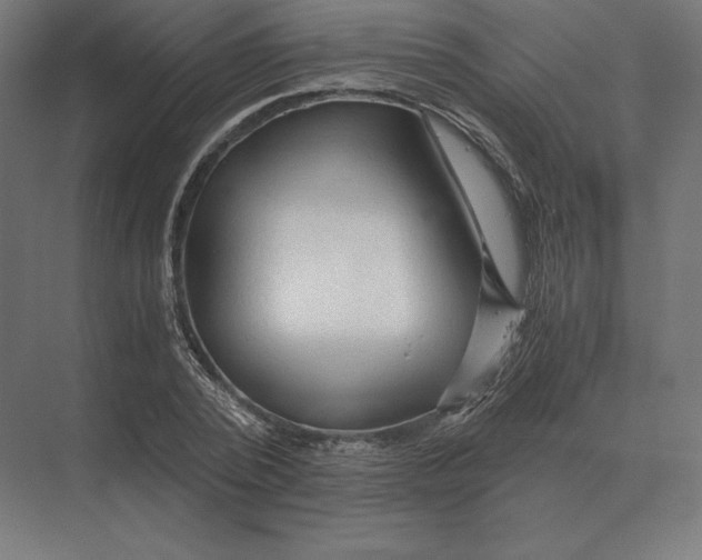 X0000073980784200609111807