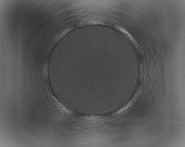 X0000073980785200609111807