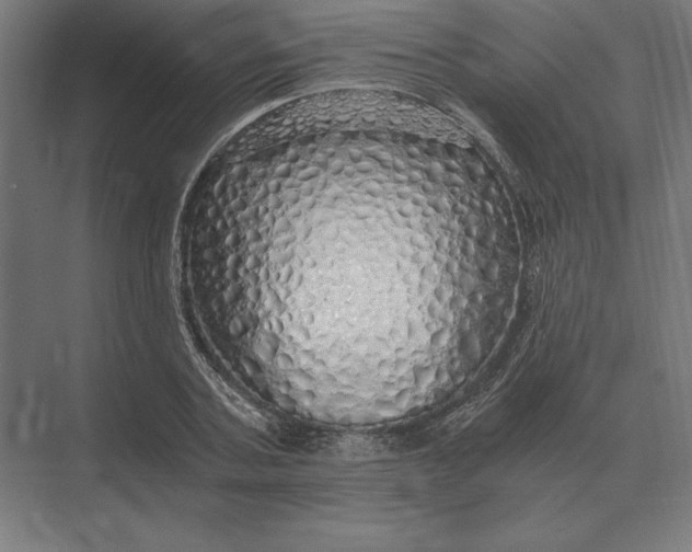 X0000073980787200609111806