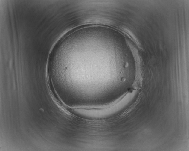 X0000073980788200609111806