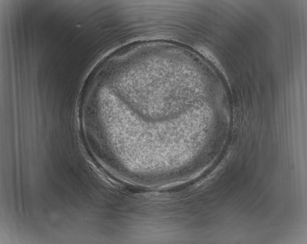 X0000073980789200609111806