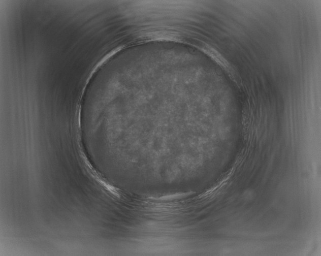 X0000073980790200609111806