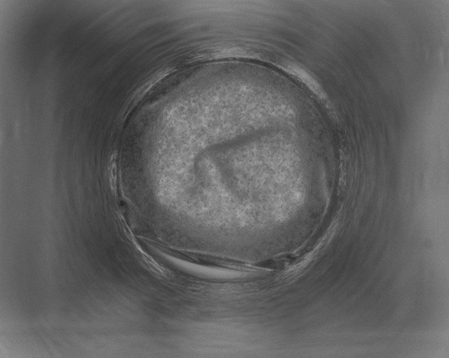 X0000073980793200609111806