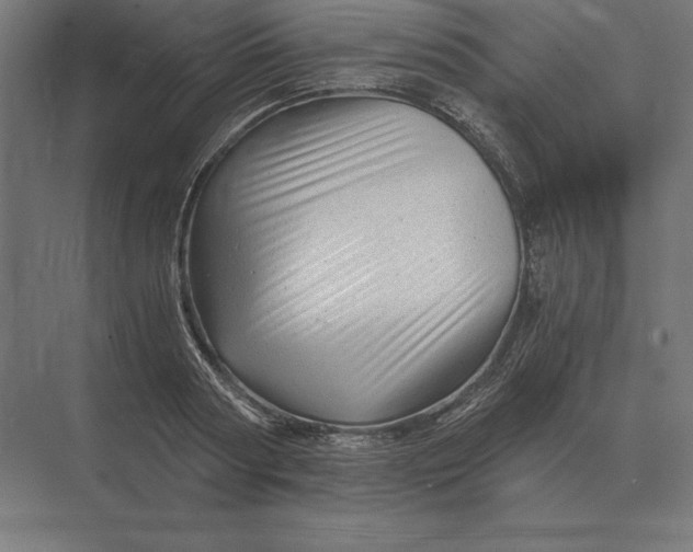 X0000073980794200609111806