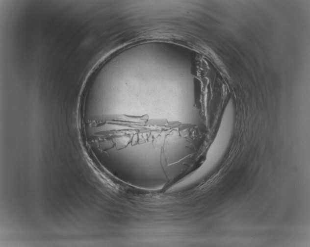 X0000073980795200609111806