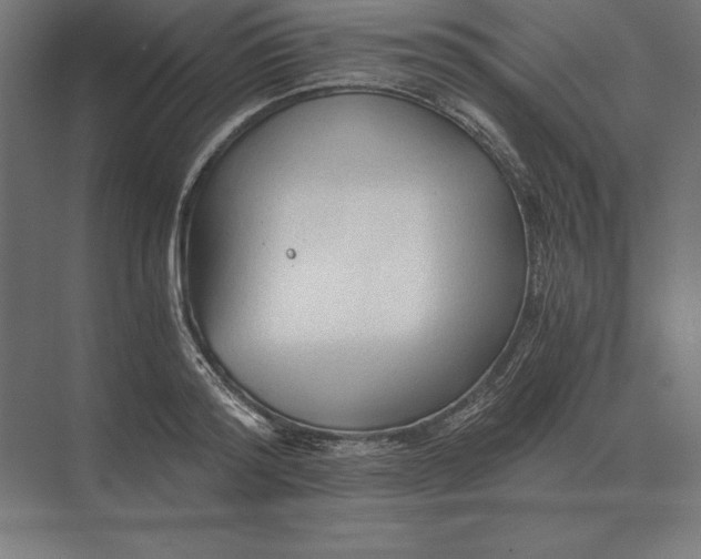 X0000073980796200609111806