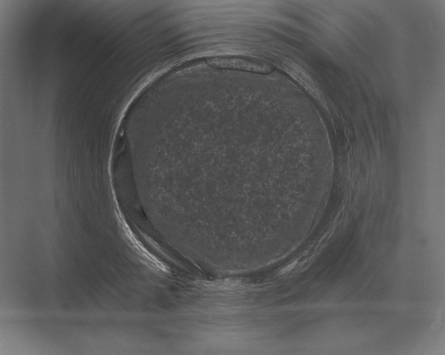 X0000073980797200609111806