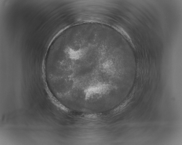 X0000073980798200609111806