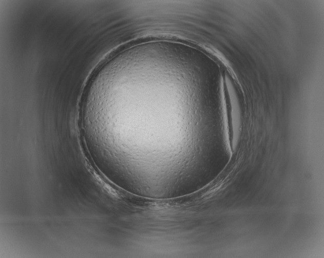 X0000073980799200609111806