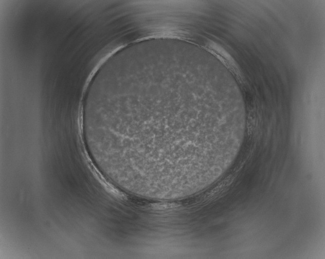 X0000073980804200609111806