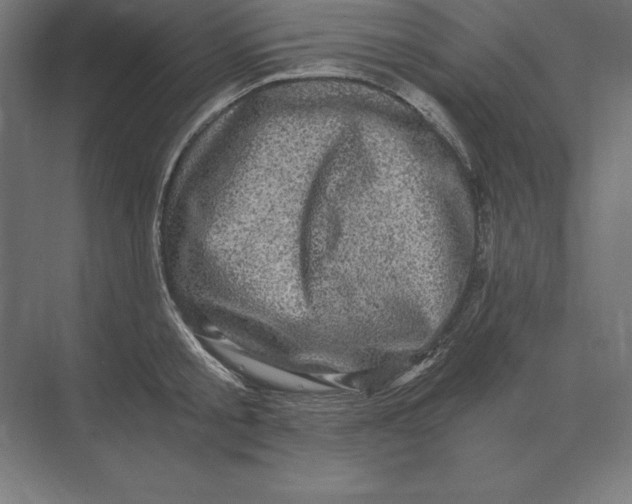 X0000073980805200609111806