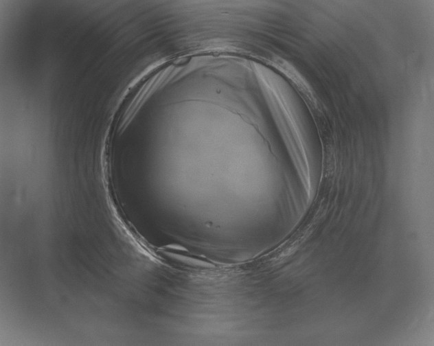 X0000073980806200609111806