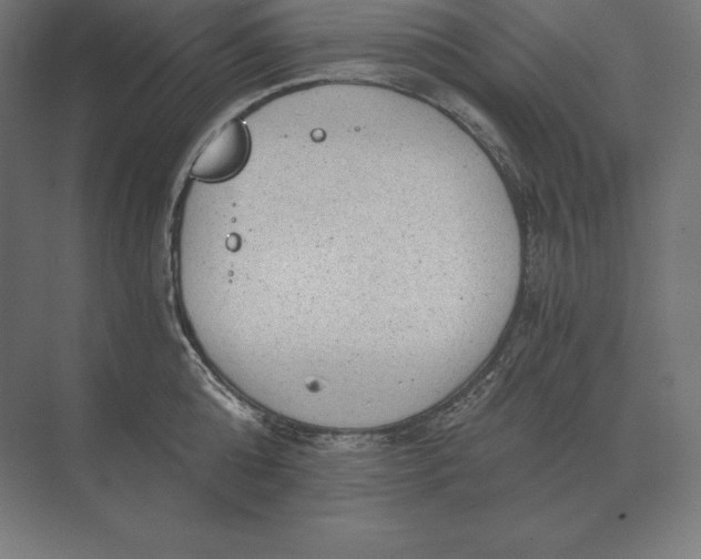 X0000073980808200609111806