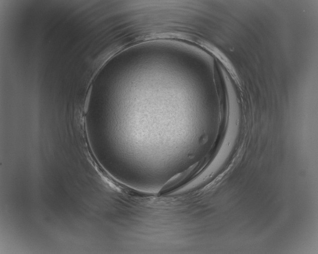 X0000073980809200609111806