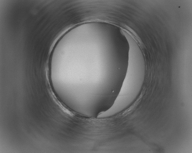 X0000073980812200609111806