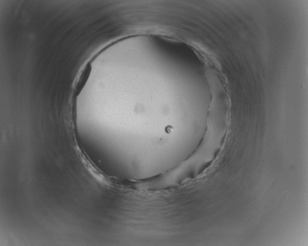 X0000073980816200609111806