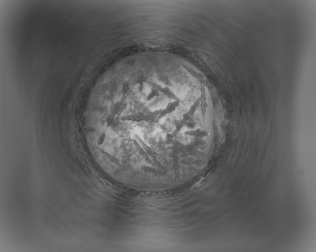 X0000073980817200609111805