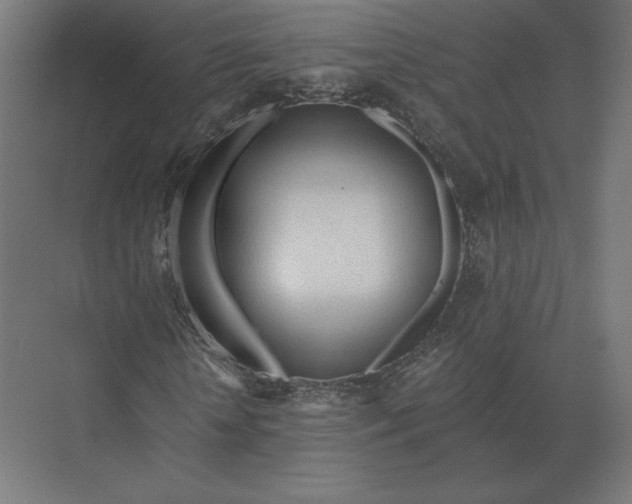 X0000073980818200609111805