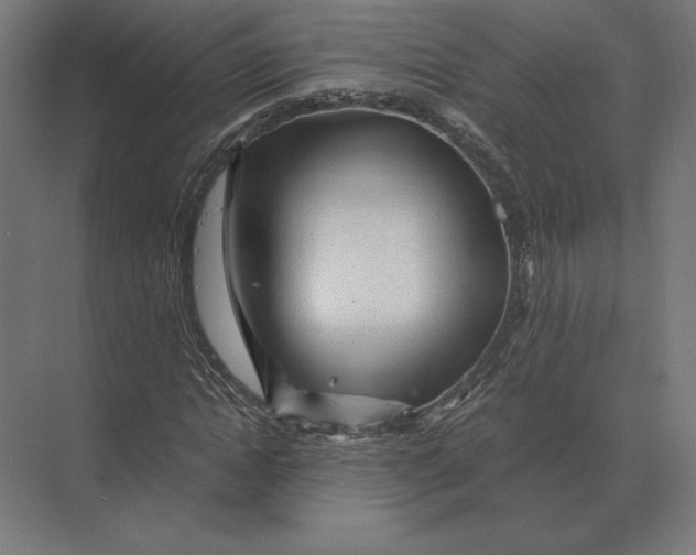 X0000073980822200609111805