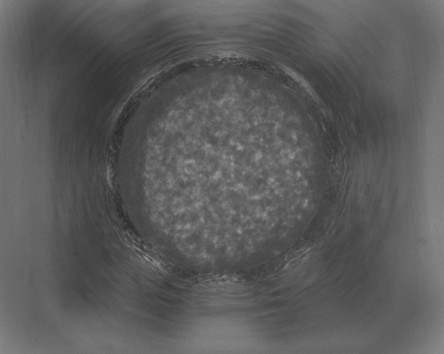 X0000073980823200609111805