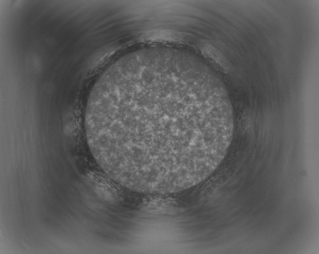 X0000073980824200609111805