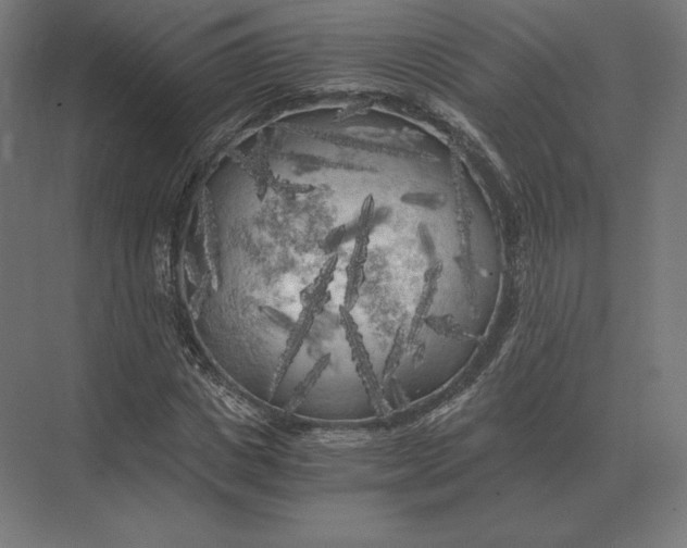 X0000073980825200609111805