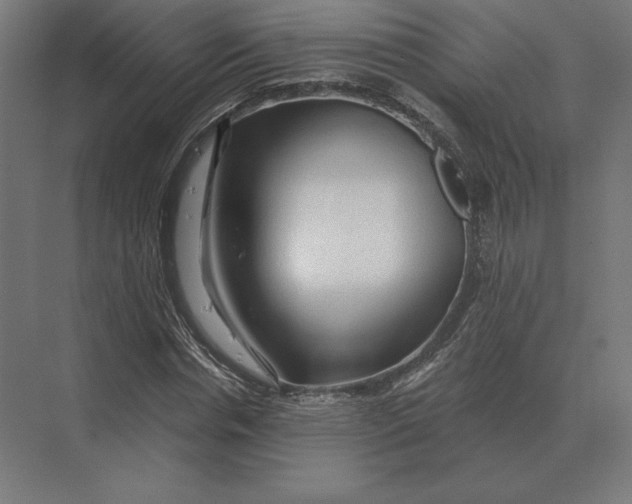 X0000073980826200609111805