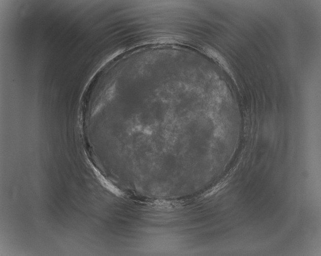 X0000073980827200609111805