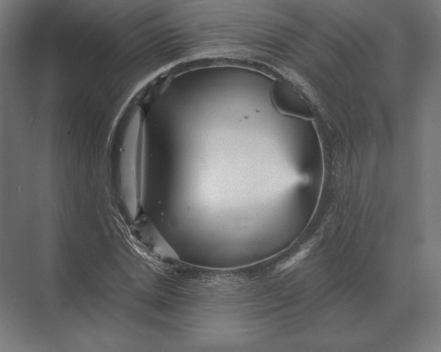 X0000073980830200609111805