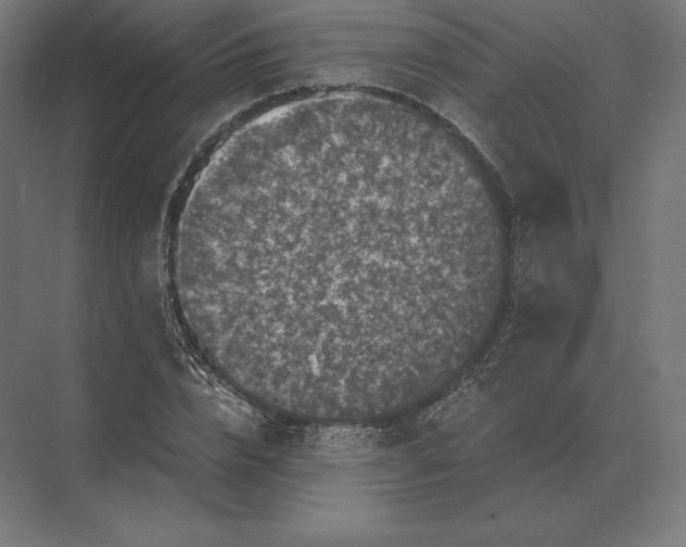 X0000073980832200609111805