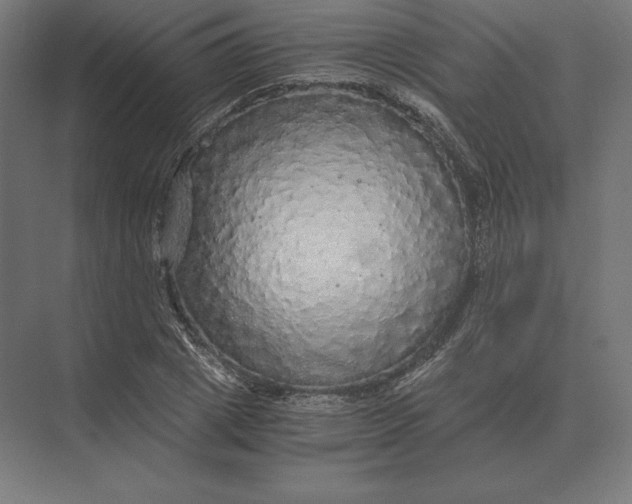 X0000073980833200609111805