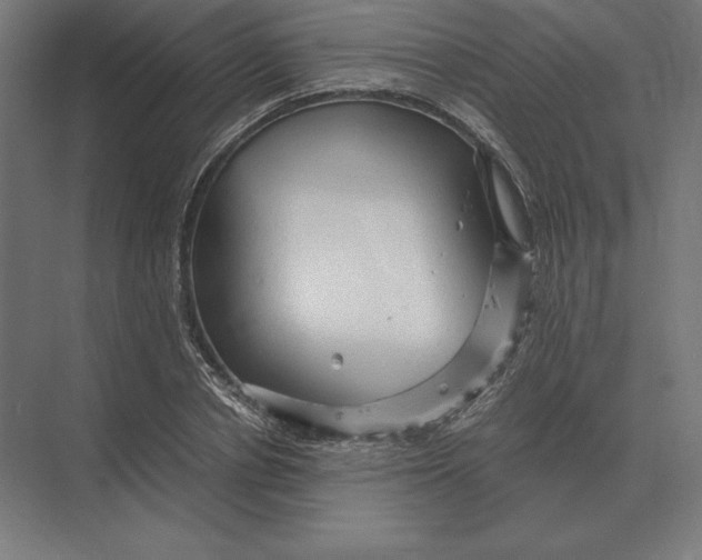 X0000073980834200609111805