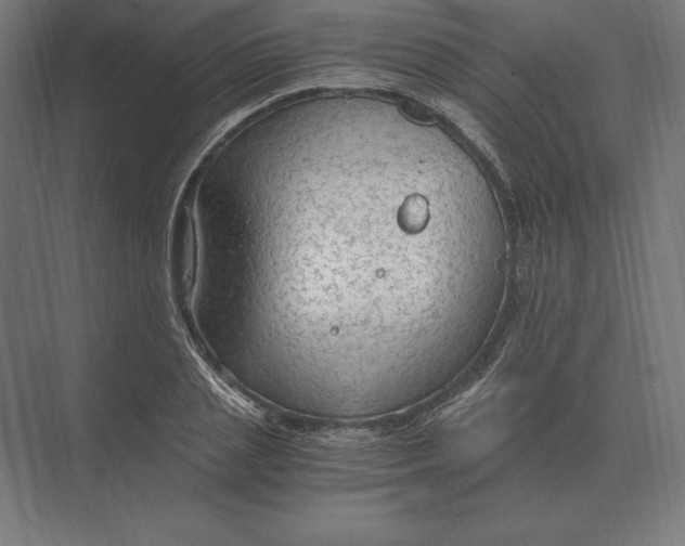 X0000073980837200609111806