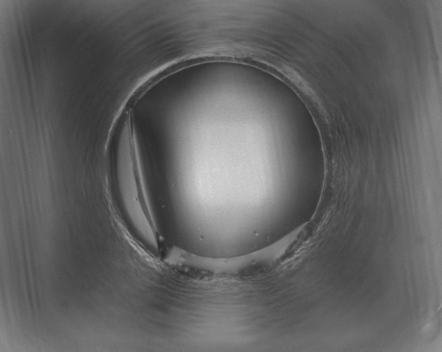 X0000073980838200609111806