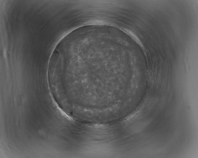 X0000073980839200609111806