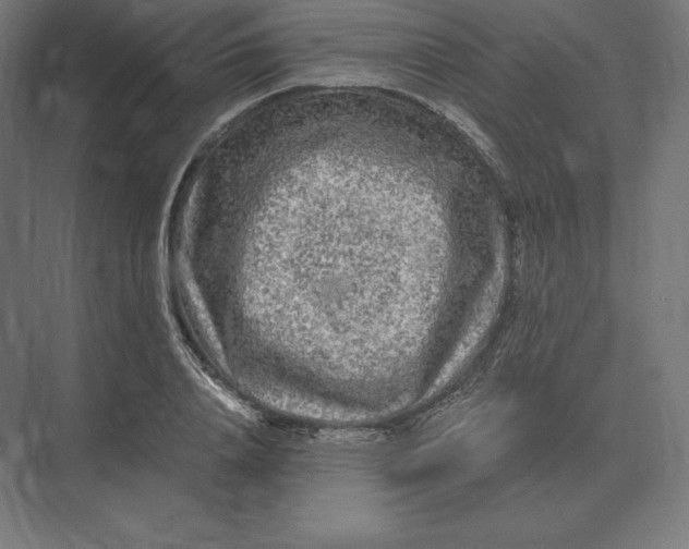 X0000073980840200609111806