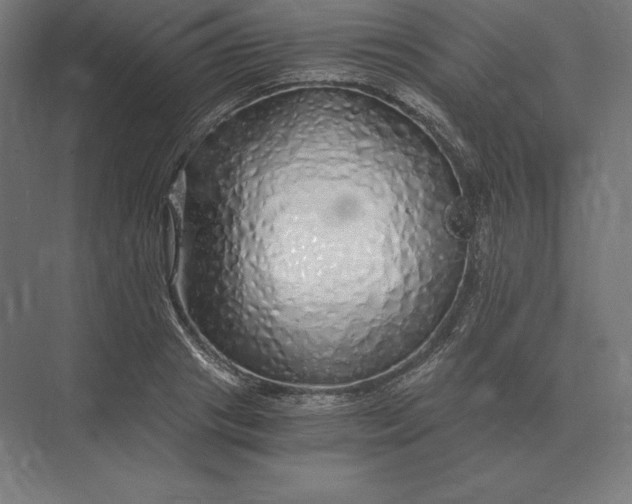 X0000073980841200609111806