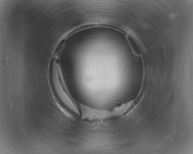 X0000073980842200609111806