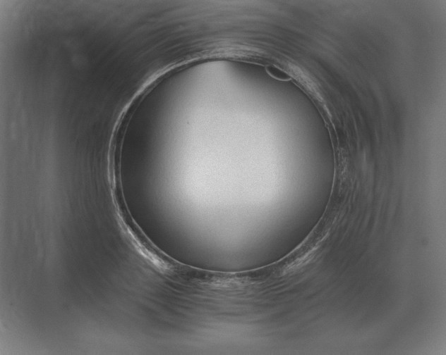 X0000073980843200609111806