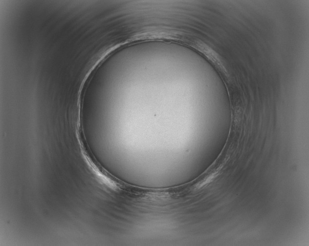 X0000073980844200609111806