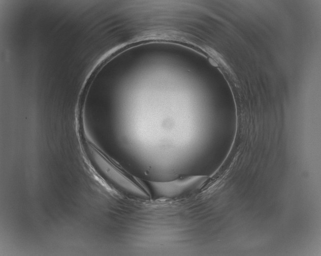 X0000073980846200609111806