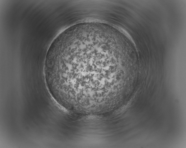 X0000073980847200609111806