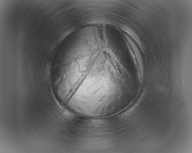 X0000073980849200609111806