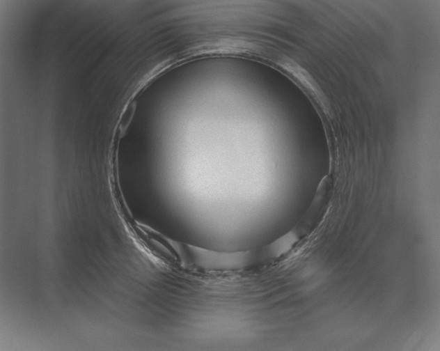 X0000073980850200609111806