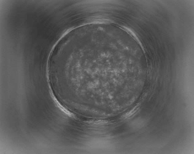 X0000073980851200609111806